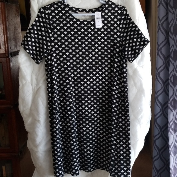 LOFT Dresses & Skirts - LOFT dress